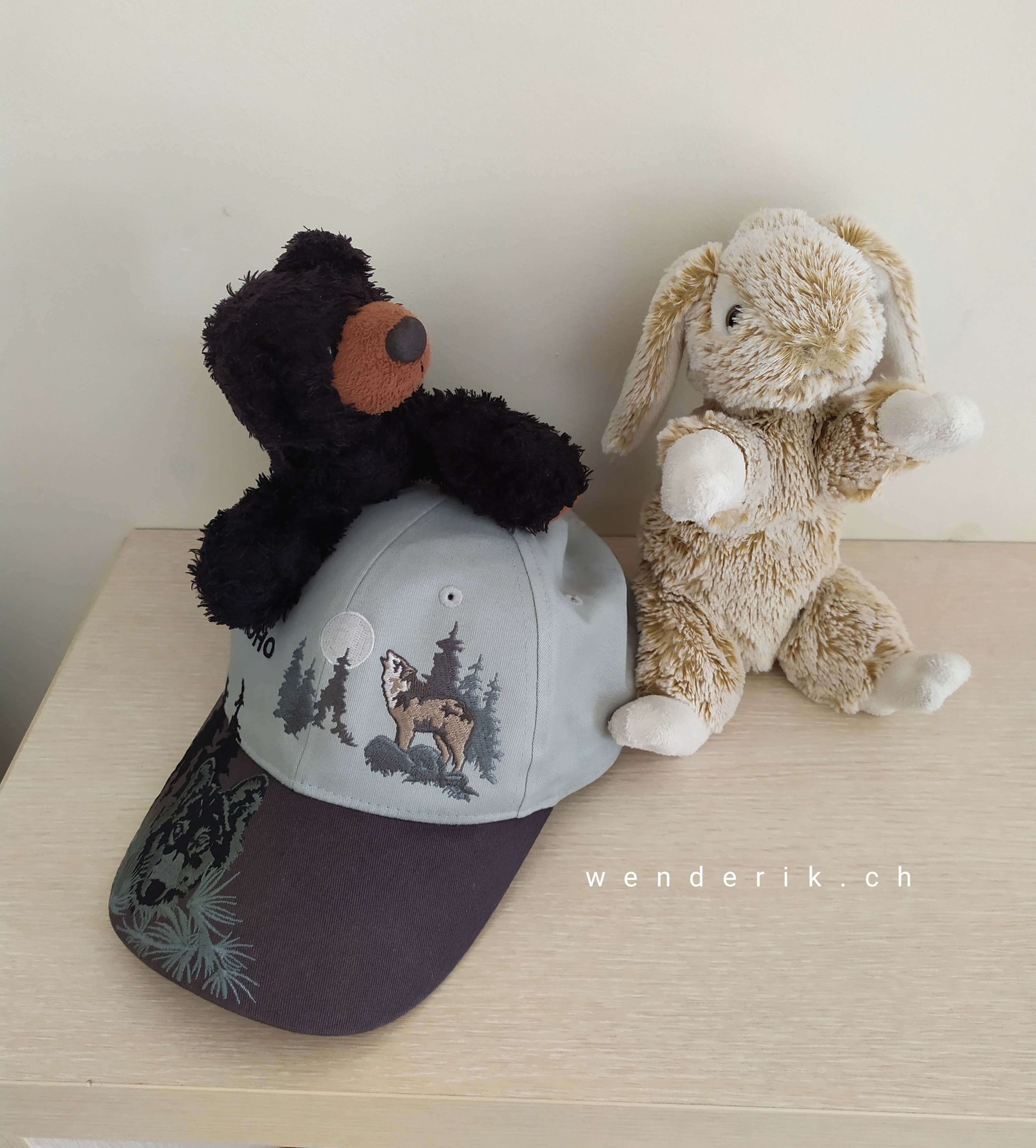 Coton et Blacky...