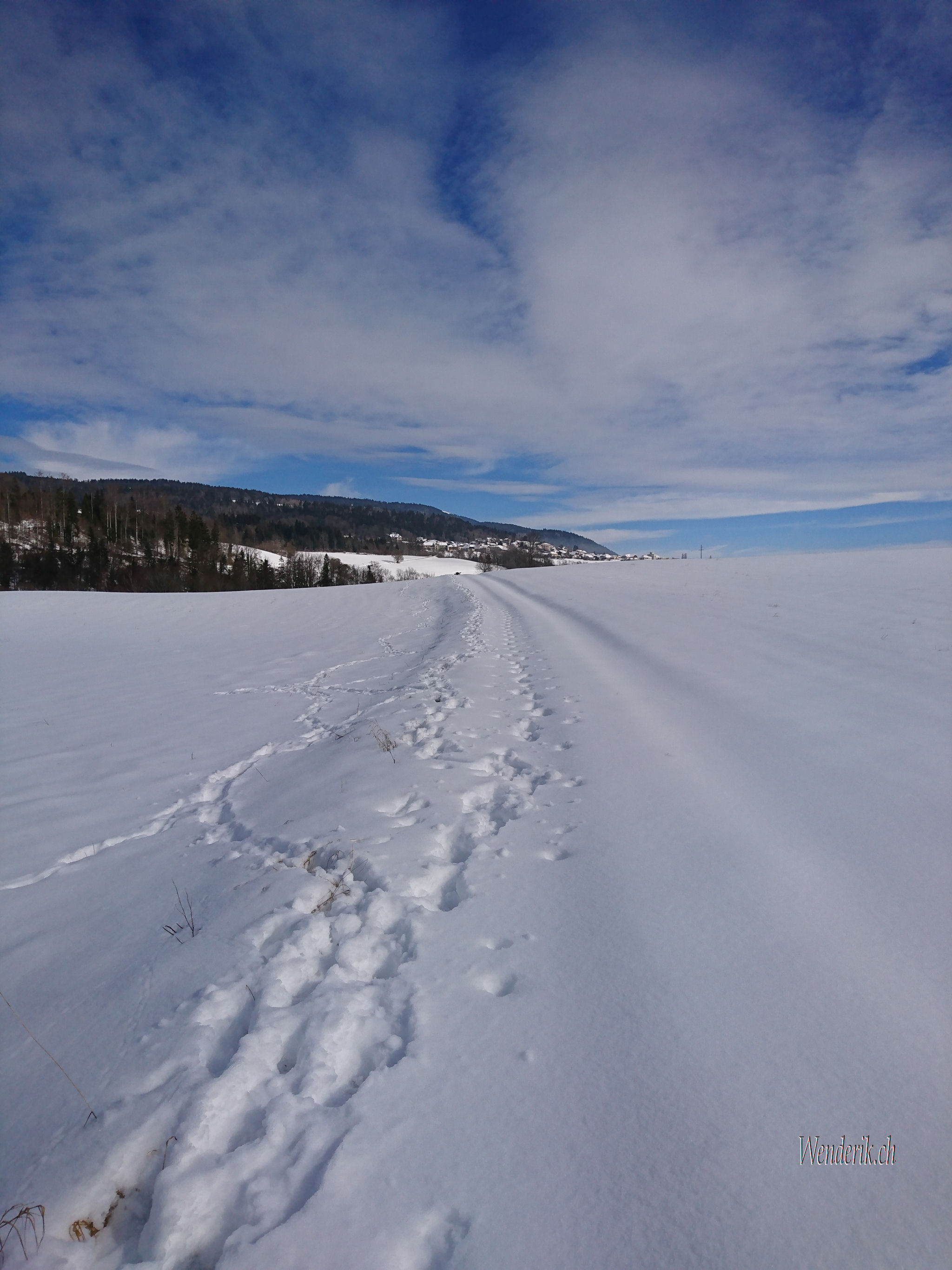Paysage Enneig...