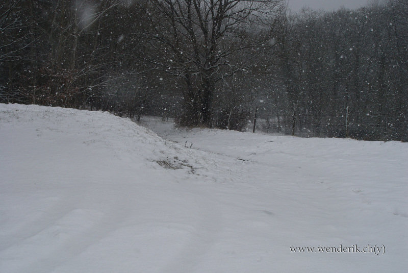 a1_DSC04756_wh535c15pc.jpg