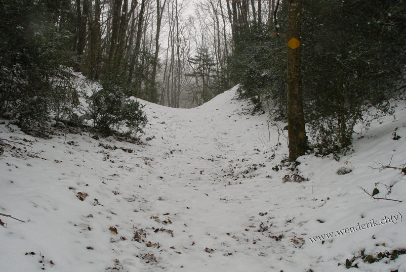 a5_DSC04691_wh550c15pc.jpg