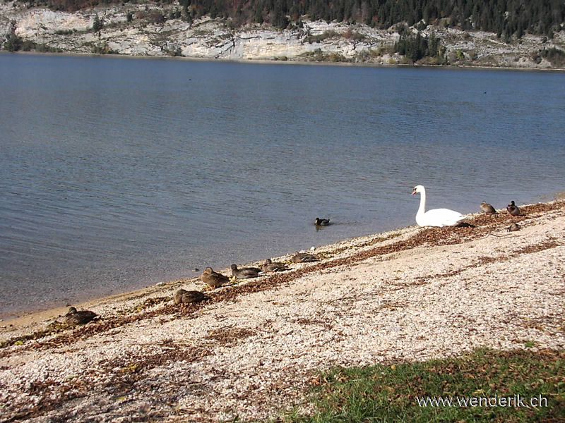 2006_10_26_12_w_h6001.jpg