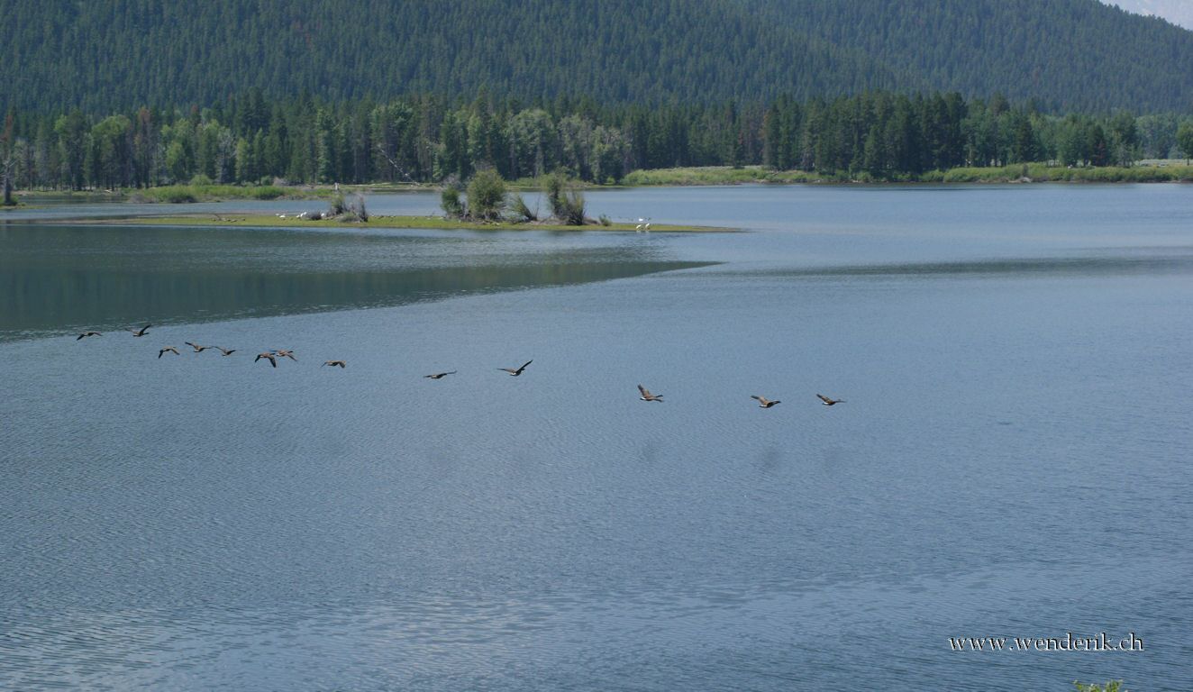 DSC03261_w_h7681.jpg