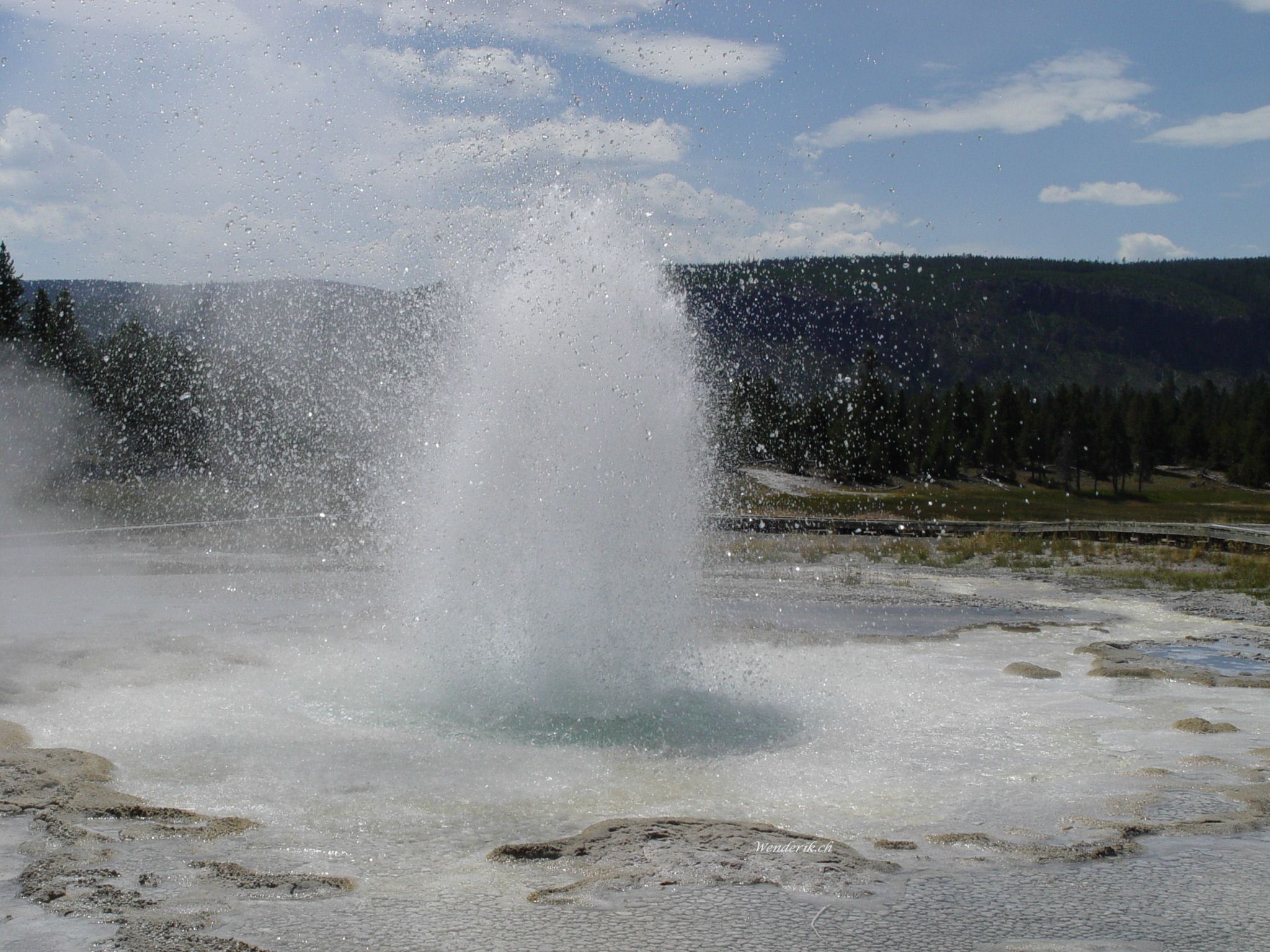 DSC00307w1.jpg
