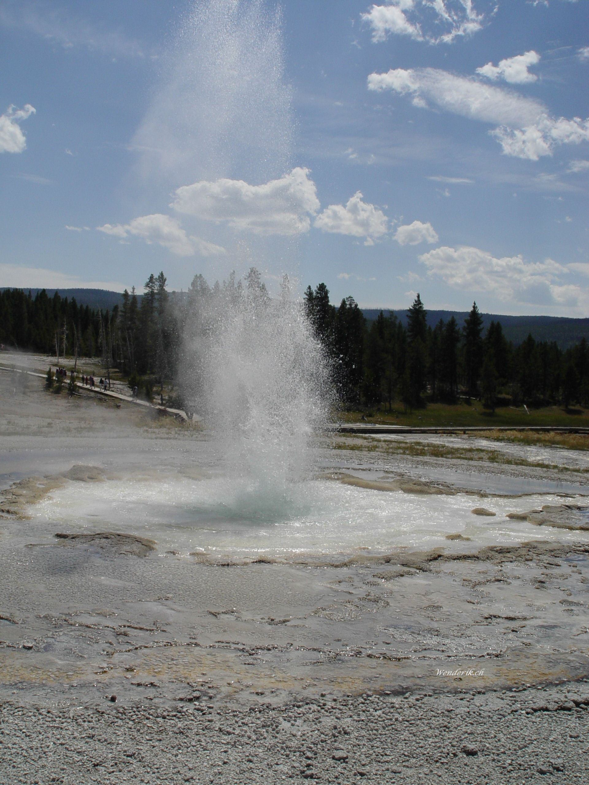 DSC00337w1.jpg