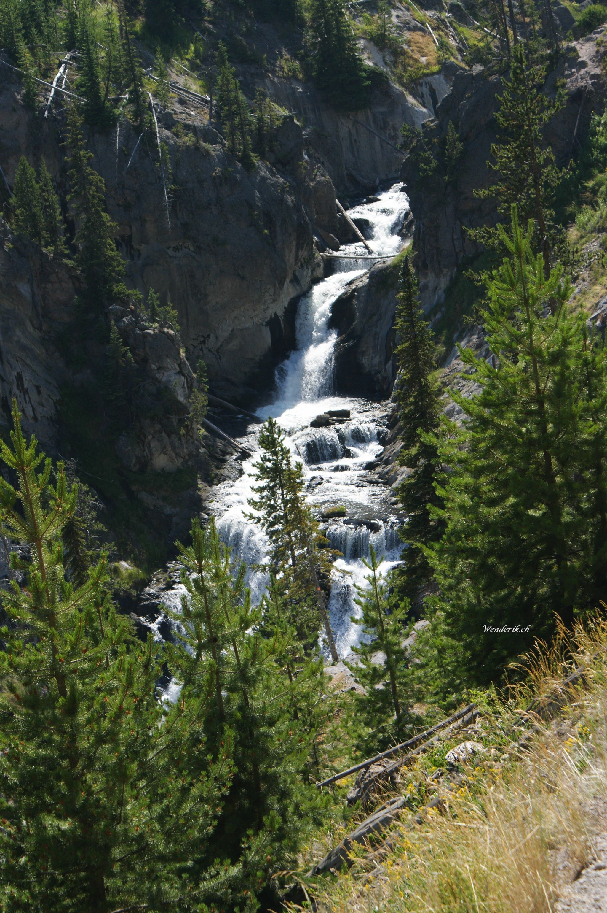 DSC05510w1.jpg