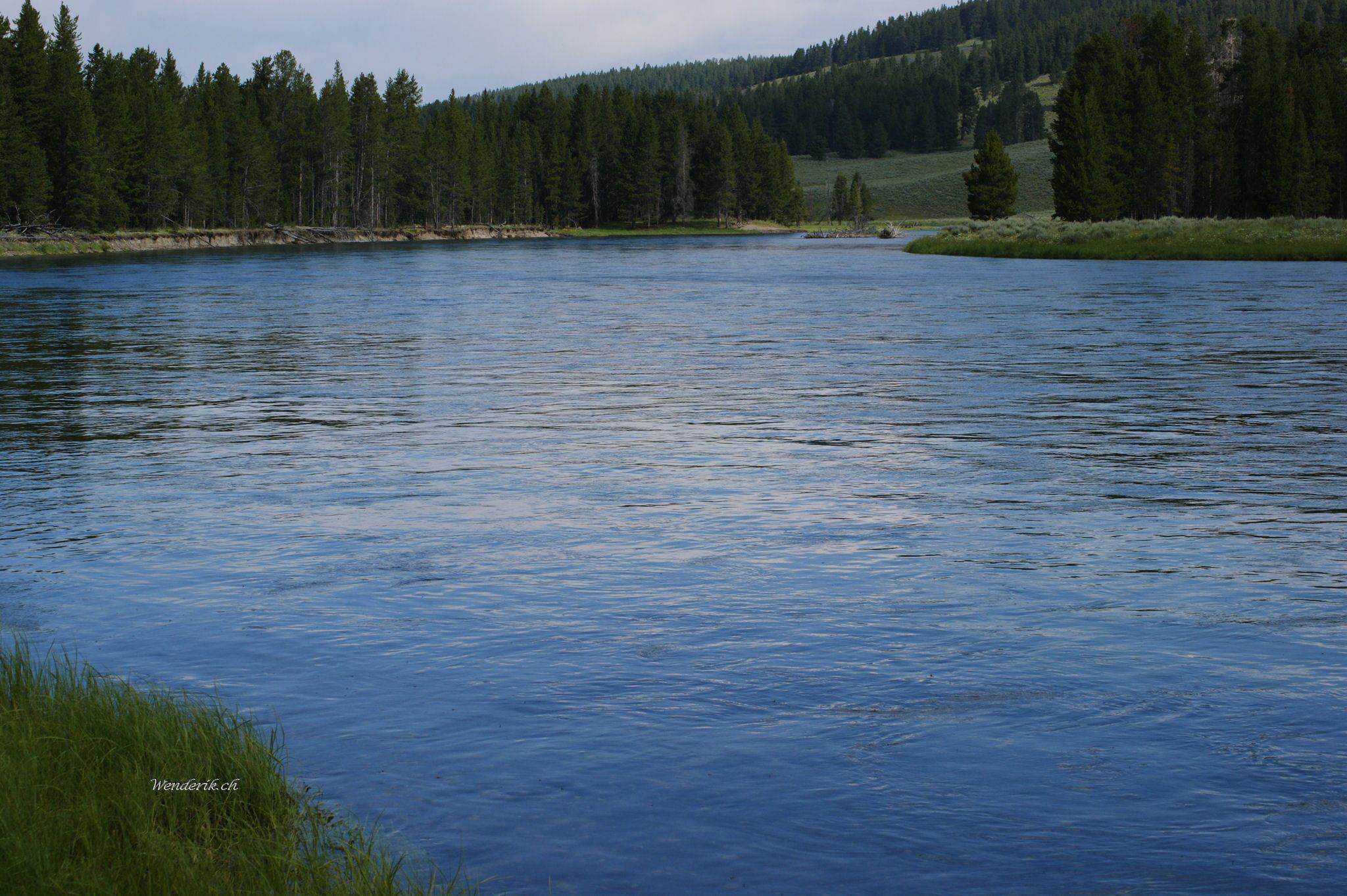 DSC05642w1.jpg