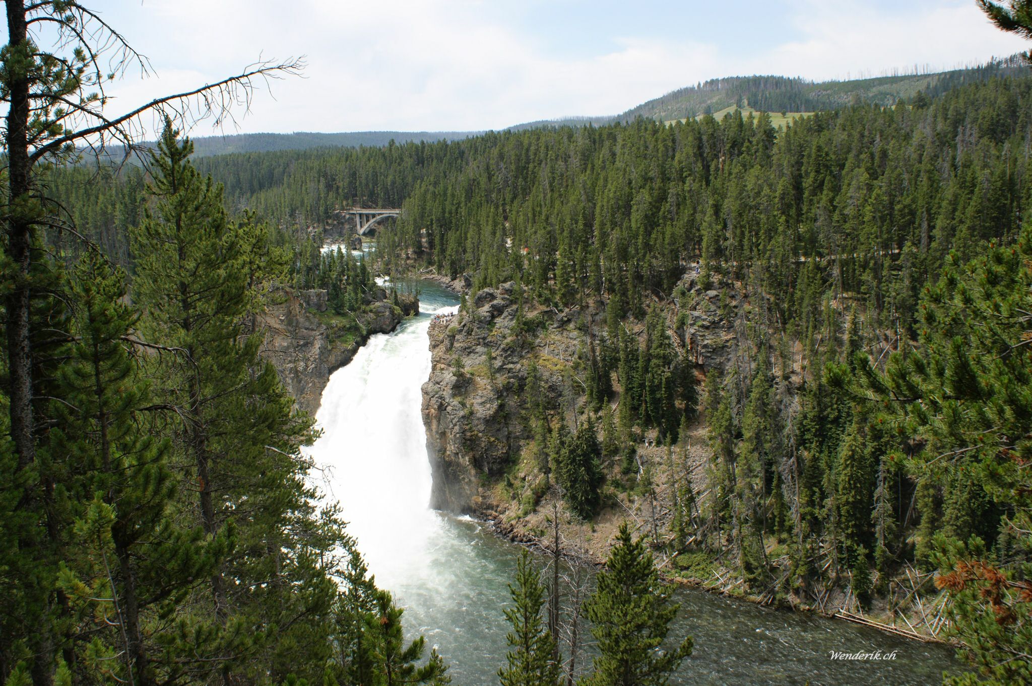 DSC05830w1.jpg