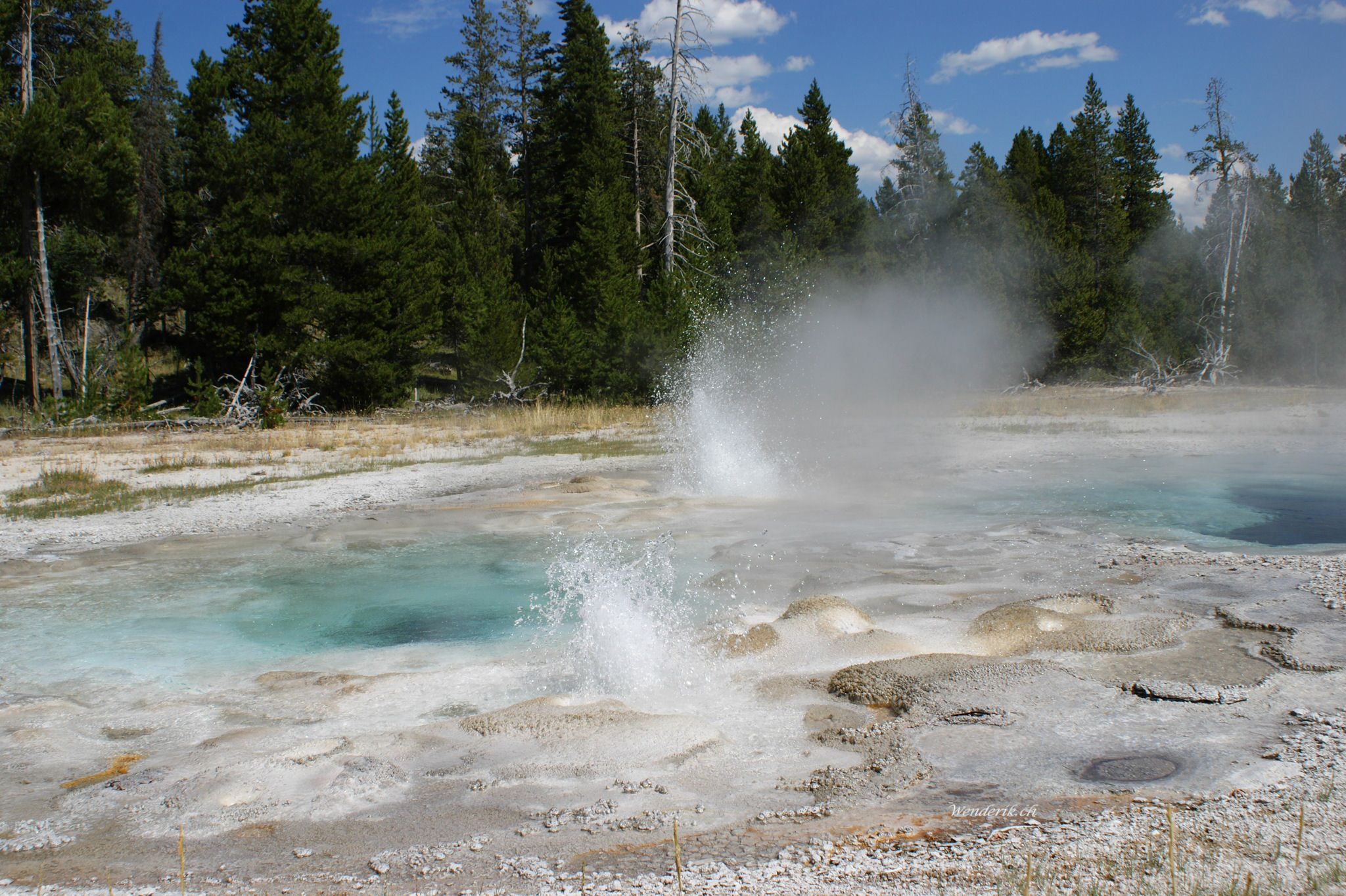 DSC06910w1.jpg