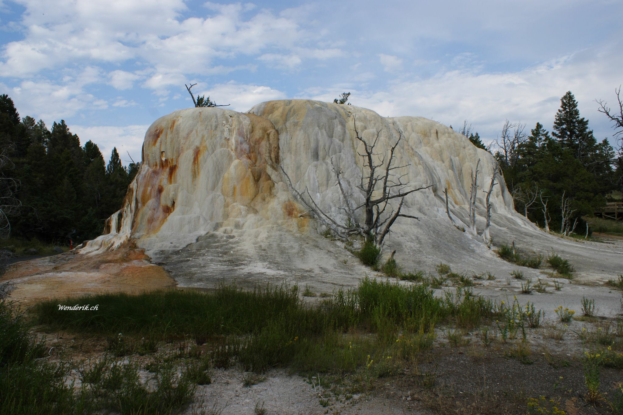 DSC07304w1.jpg