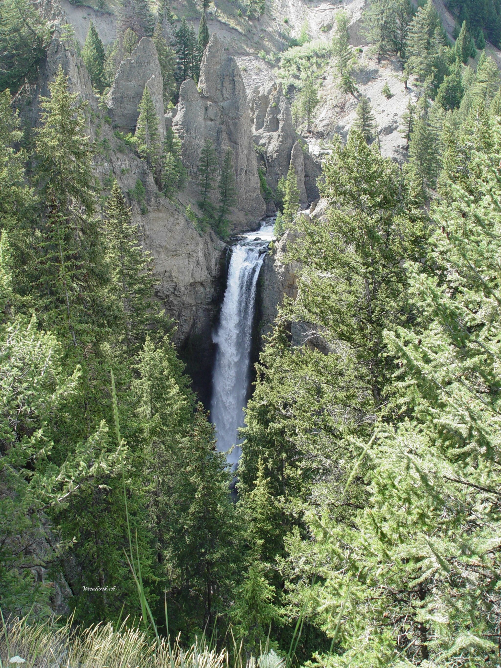 DSC07951w1.jpg