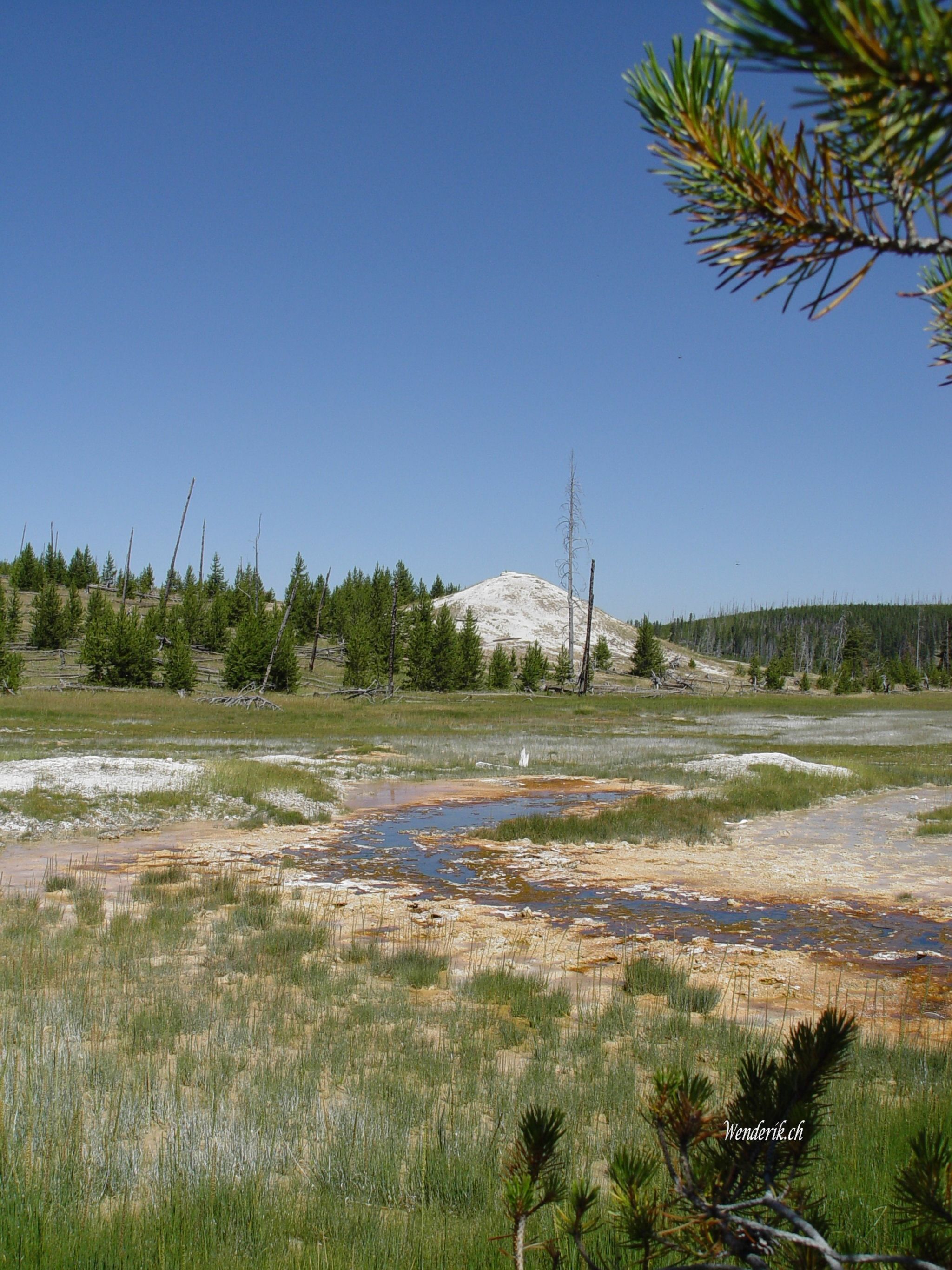 DSC08512w1.jpg
