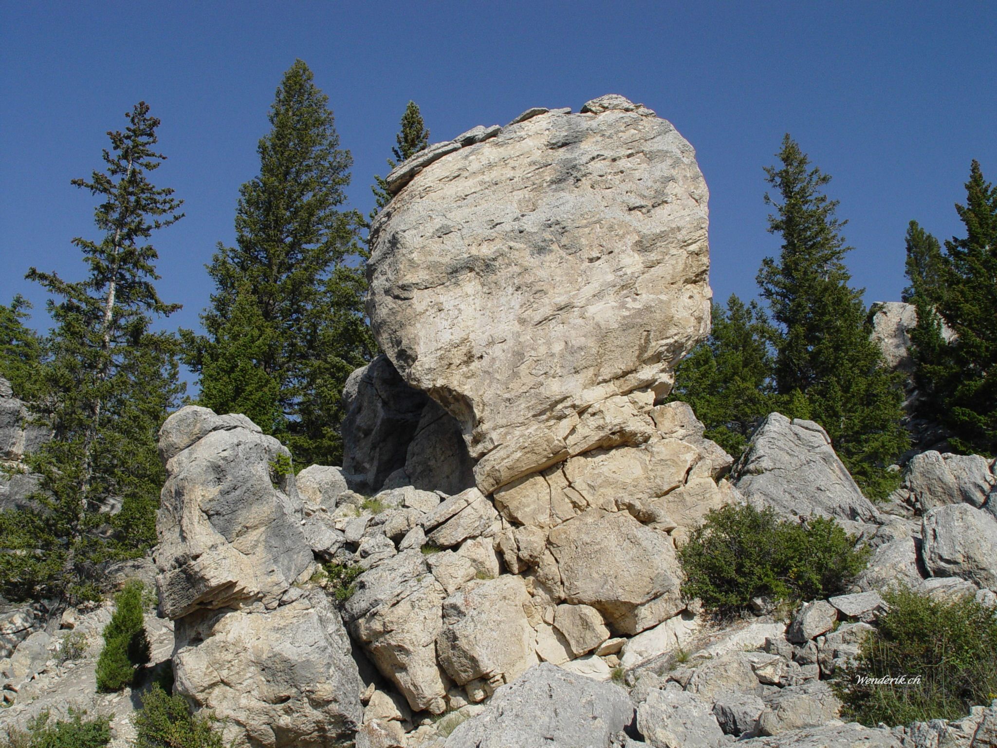 DSC08761w1.jpg