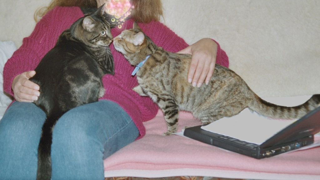 Image010_42A_w10pc.jpg