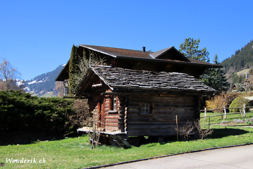 IMG_5266_w1024.jpg